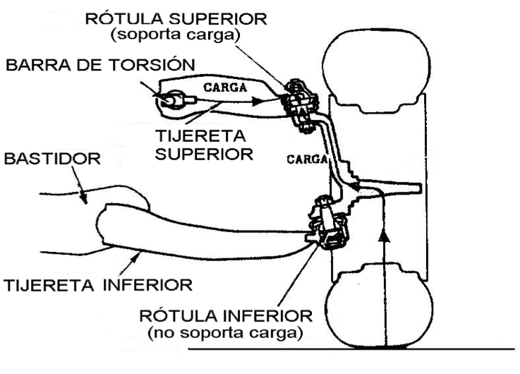 Rotula Superior